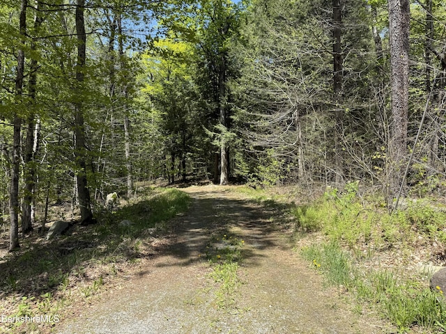 95 Sugar House Rd, Otis, MA 01253 - photo 34