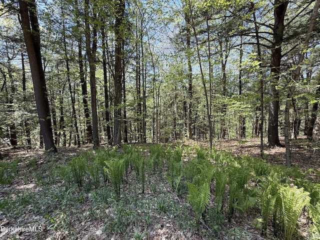 95 Sugar House Rd, Otis, MA 01253 - photo 39