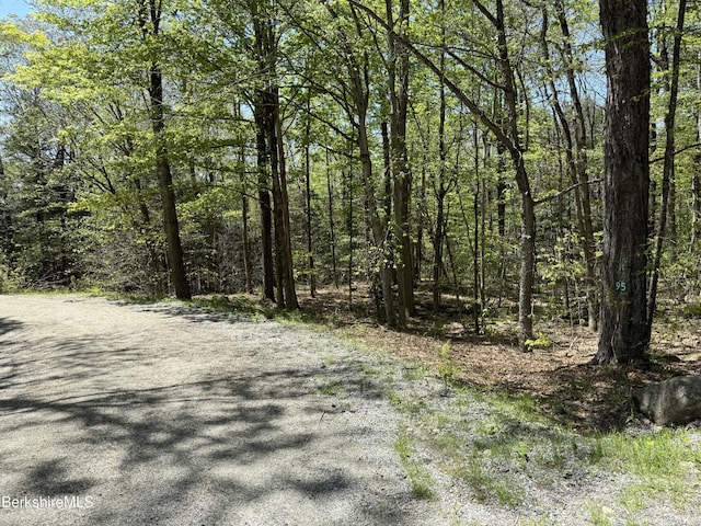 95 Sugar House Rd, Otis, MA 01253 - photo 35