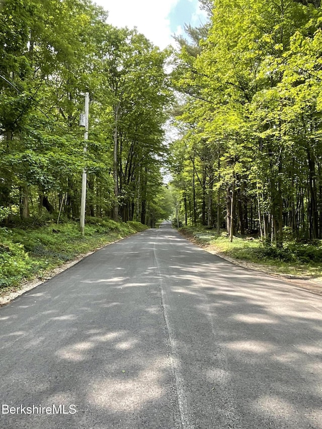 10 Art School Rd, Monterey, MA 01245 - photo 7