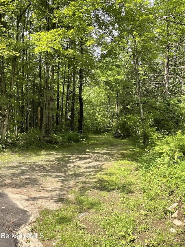 10 Art School Rd, Monterey, MA 01245 - photo 6