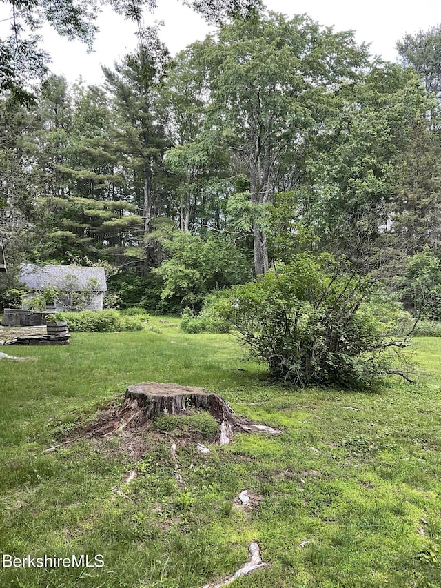10 Art School Rd, Monterey, MA 01245 - photo 3