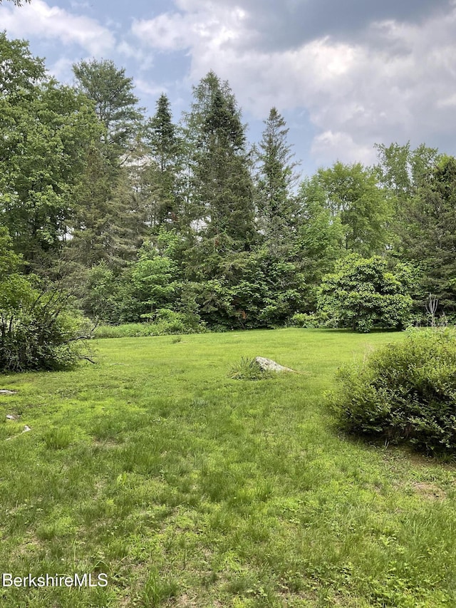10 Art School Rd, Monterey, MA 01245 - photo 2