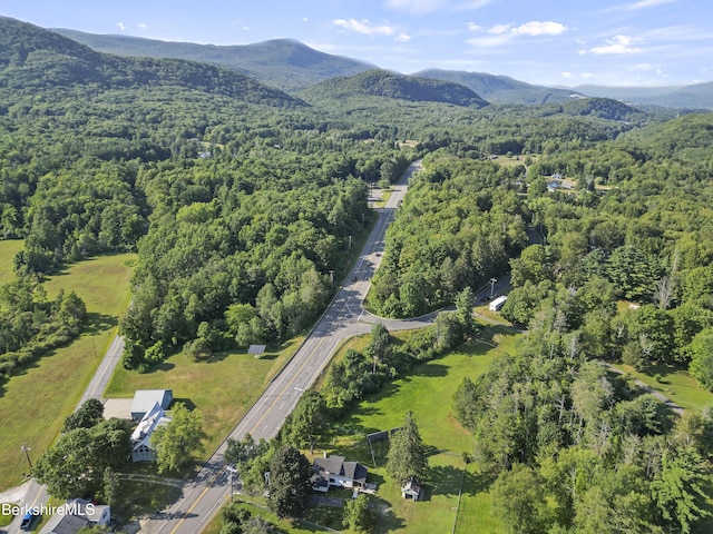 1008 N State Rd, Cheshire, MA 01225 - photo 50