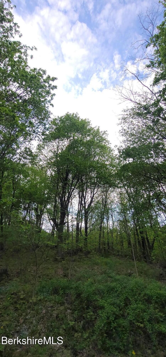 301 Walnut St, North Adams, MA 01247 - view of local wilderness
