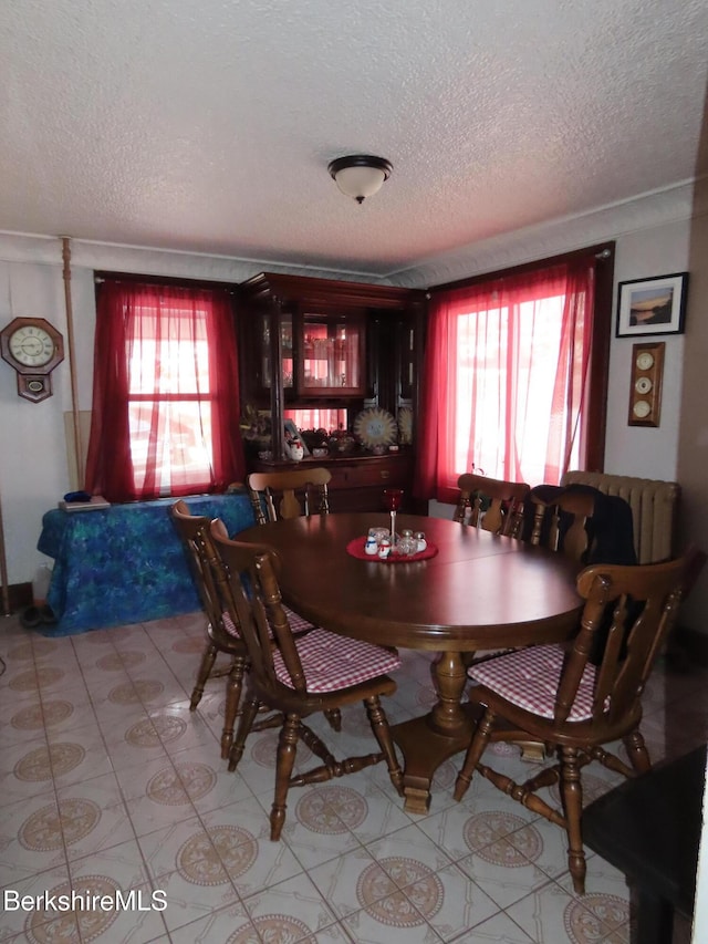 dining room with a wealth of natural light and a textured ceiling