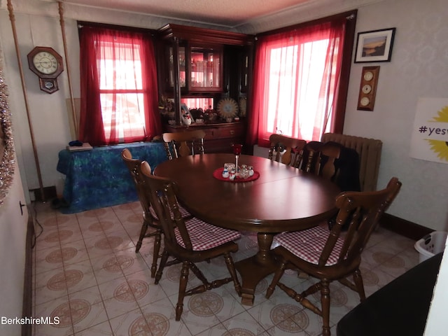 dining area featuring radiator