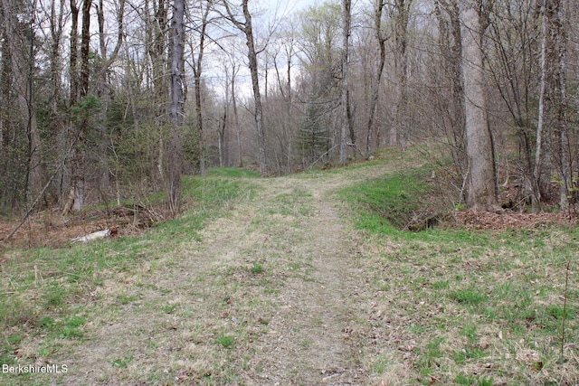 view of road with a forest view