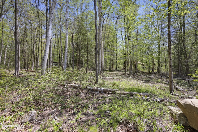 0 S St S, Otis, MA 01253