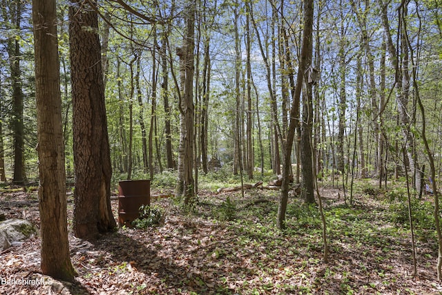 0 S St S, Otis, MA 01253
