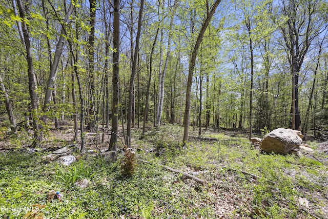 0 S St S, Otis, MA 01253