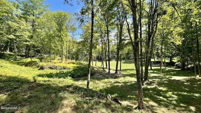 181 W Center Rd, West Stockbridge, MA 01266