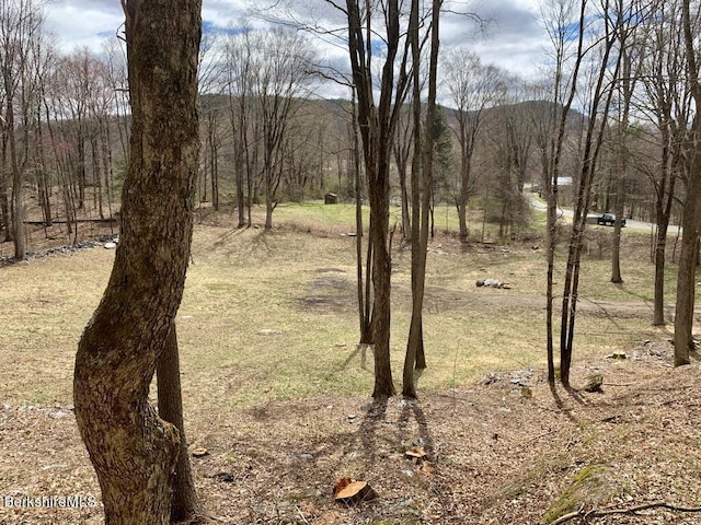 181 W Center Rd, West Stockbridge, MA 01266