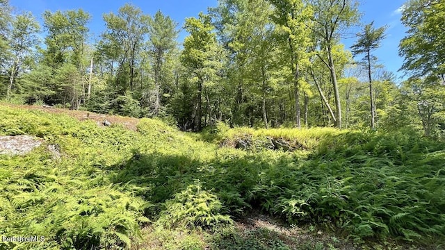 181 W Center Rd, West Stockbridge, MA 01266