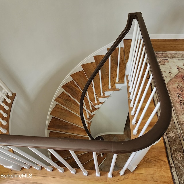 377 Pomeroy Ave, Pittsfield, MA 01201 - stairway featuring wood finished floors