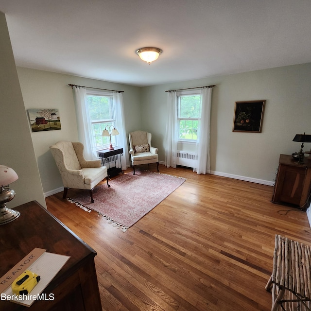 377 Pomeroy Ave, Pittsfield, MA 01201 - living area featuring radiator, wood finished floors, and plenty of natural light