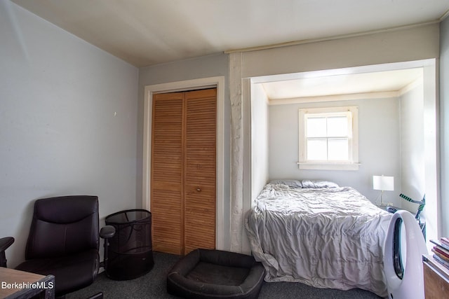 53 Mahaiwe St, Great Barrington, MA 01230 - bedroom featuring a closet and carpet