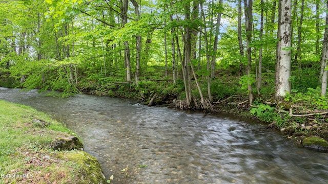 5 Victoria Ln, Lanesborough, MA 01237 - water view