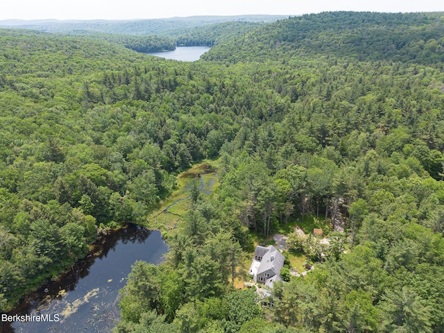 71 E Hubbard Rd, Sandisfield, MA 01255 - photo 54
