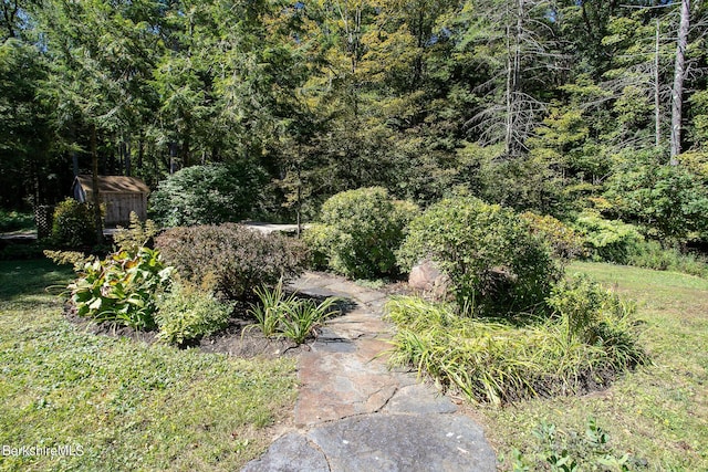 view of yard featuring a storage shed