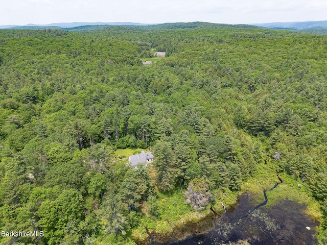 71 E Hubbard Rd, Sandisfield, MA 01255 - photo 55