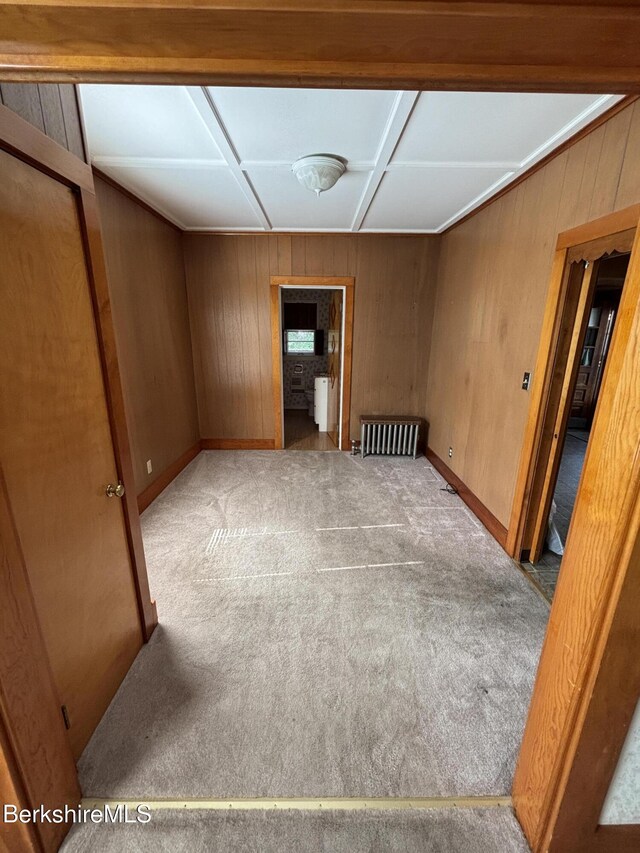 31 Millard Ave, Clarksburg, MA 01247 - unfurnished room with wood walls and carpet flooring