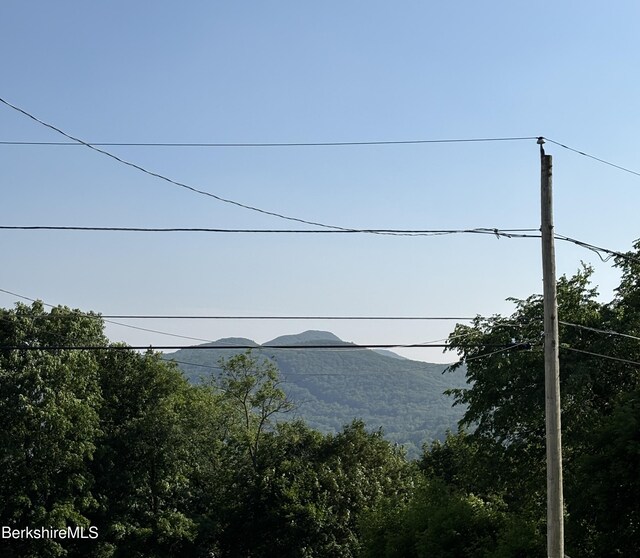 31 Millard Ave, Clarksburg, MA 01247 - water view with a mountainous background