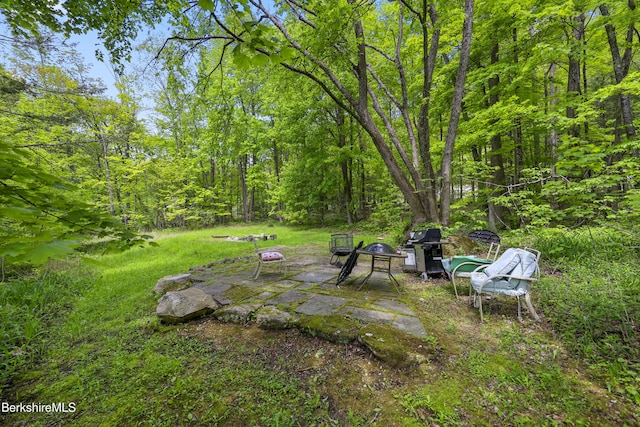 328-332 Park St, Great Barrington, MA 01230 - photo 45