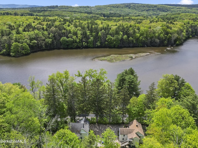 328-332 Park St, Great Barrington, MA 01230 - photo 52