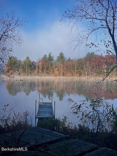 dock area featuring a view of trees and a water view