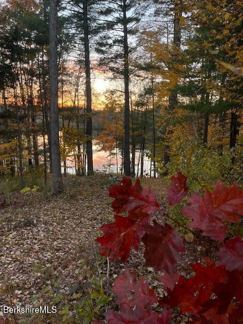view of nature