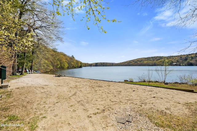 545 Leisure Lee Rd, Lee, MA 01238 - water view featuring a heavily wooded area