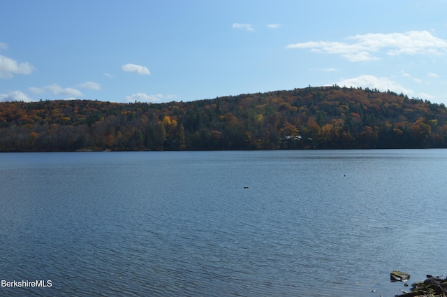 545 Leisure Lee Rd, Lee, MA 01238 - water view featuring a forest