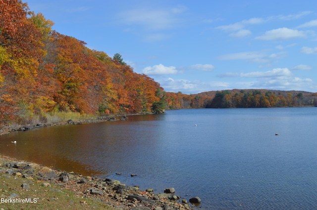545 Leisure Lee Rd, Lee, MA 01238 - water view with a forest