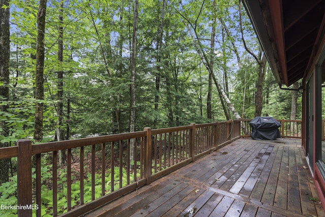 545 Leisure Lee Rd, Lee, MA 01238 - deck with area for grilling