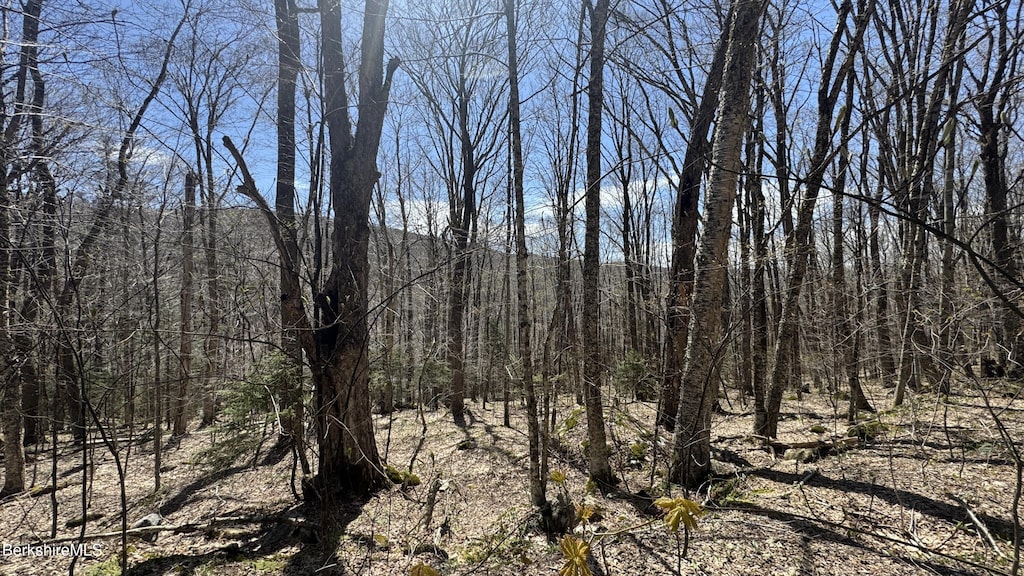 LOT92 Aplendorf, Readsboro, VT 05350