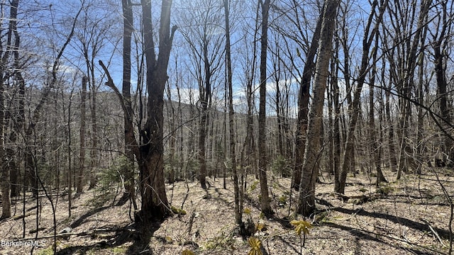 LOT92 Aplendorf, Readsboro, VT 05350
