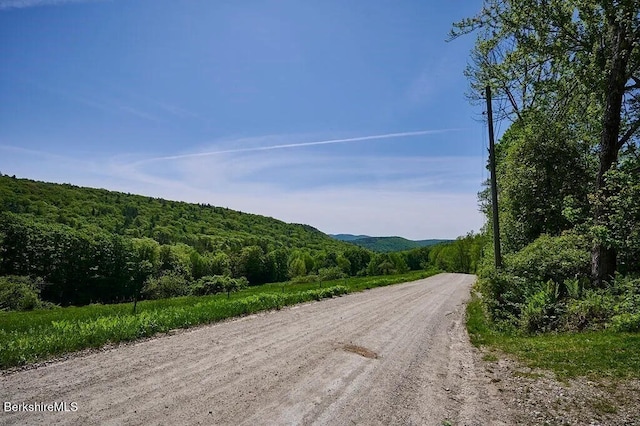 0 Maxwell Rd, Charlemont, MA 01339 - photo 6