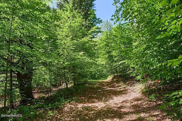 0 Maxwell Rd, Charlemont, MA 01339 - photo 7