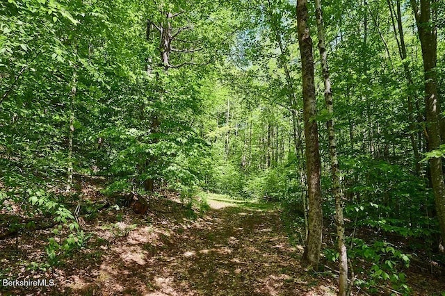 0 Maxwell Rd, Charlemont, MA 01339 - photo 10