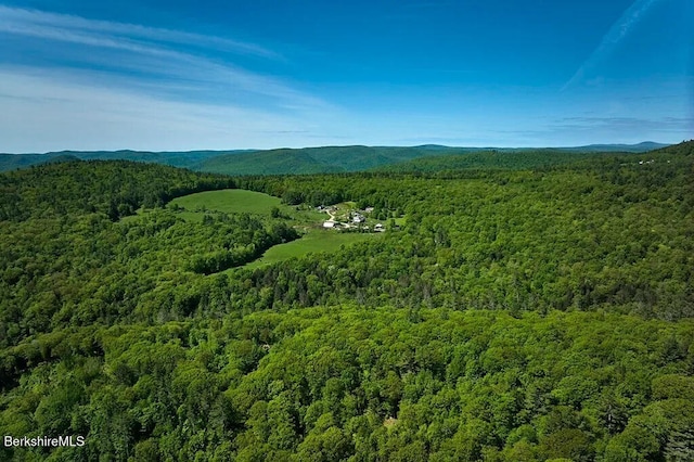 0 Maxwell Rd, Charlemont, MA 01339 - photo 1
