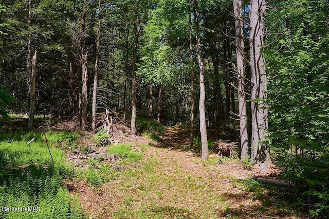 0 Maxwell Rd, Charlemont, MA 01339 - photo 14