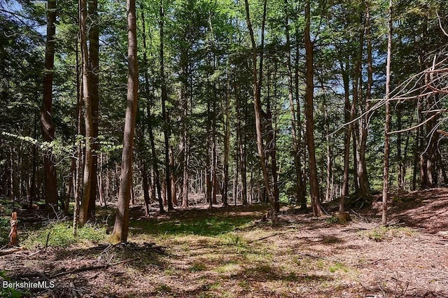 0 Maxwell Rd, Charlemont, MA 01339 - photo 2