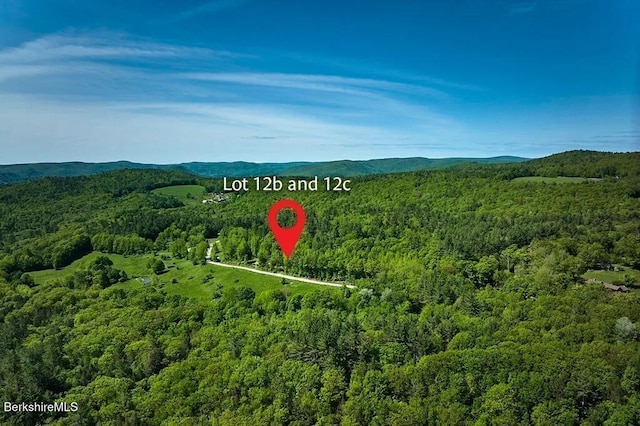 0 Maxwell Rd, Charlemont, MA 01339 - photo 5