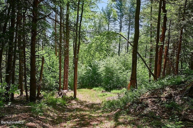 0 Maxwell Rd, Charlemont, MA 01339 - photo 13