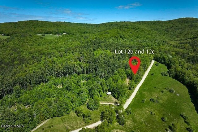 0 Maxwell Rd, Charlemont, MA 01339 - photo 9