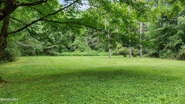 33 Creamery Rd, Egremont, MA 01230 - photo 20