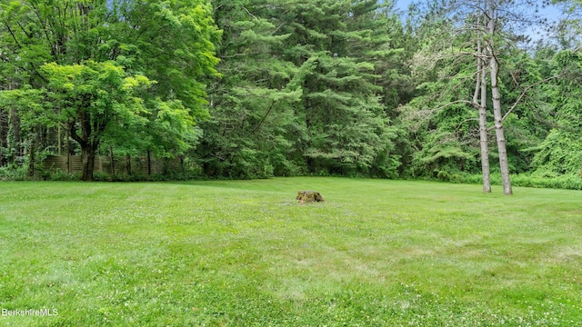 33 Creamery Rd, Egremont, MA 01230 - photo 28
