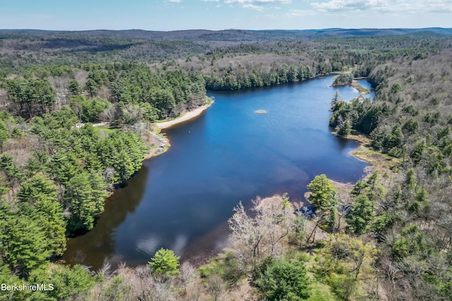 377 Highland Way, Sandisfield, MA 01255 - drone / aerial view of a heavily wooded area and a large body of water