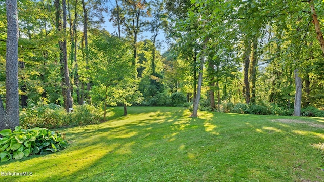 188 Hillsdale Rd, Egremont, MA 01230 - view of grassy yard